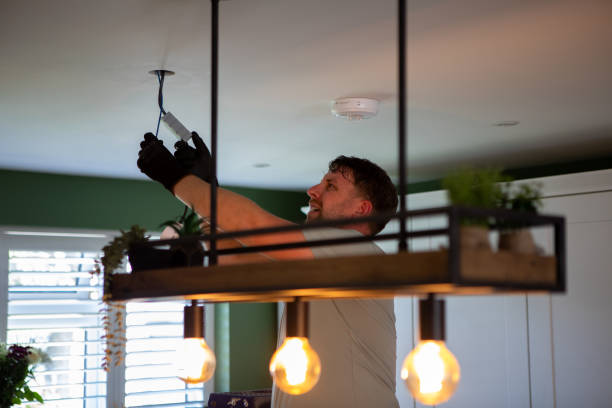 Best Licensed Electrician  in Wailua Homesteads, HI